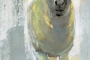 Schaf mit roten Ohren