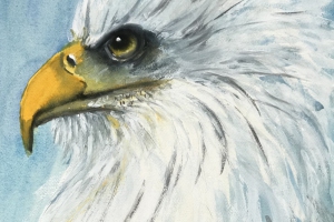 Scharfsinnig-Aquarell-MT-36x48-cm-2025