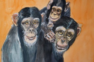 Unsere nächsten Verwandten