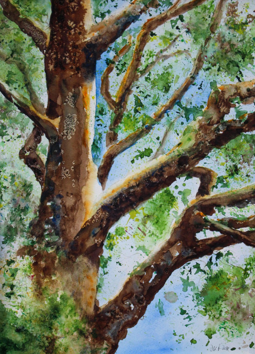 Baum