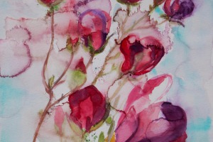 Magnolien