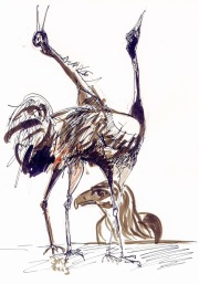 Kraniche und Adler