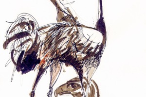 Kraniche und Adler